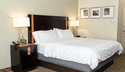 Standard King Room