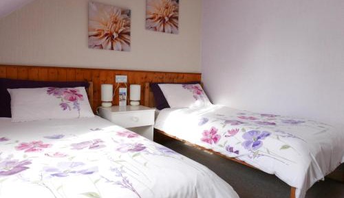 Standard Twin Room with Shared Bathroom