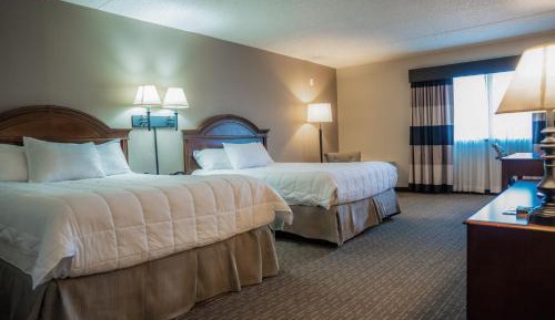 Deluxe Queen Suite