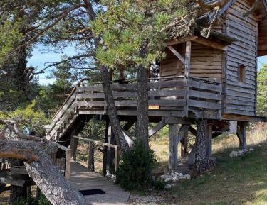 Family Bungalow