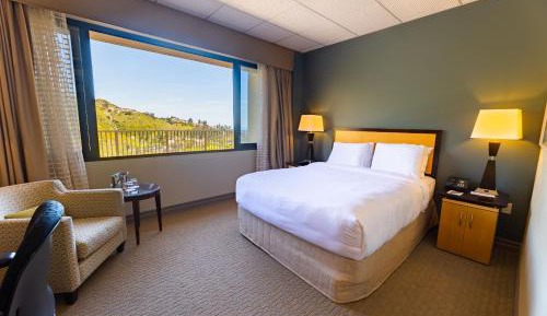 Superior Queen Room