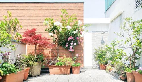 Apartment with Terrace