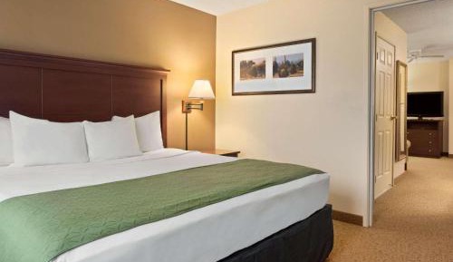 One-Bedroom King Suite
