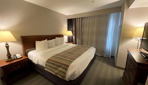 King Suite with Sofa Bed