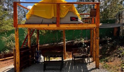 Mobile Home