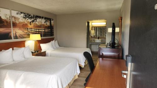 Standard Double Room - Non-Smoking
