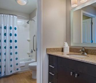 One-Bedroom King Suite