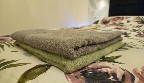 Deluxe Double Room with Shower