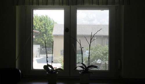 One-Bedroom Apartment - Weinbeere