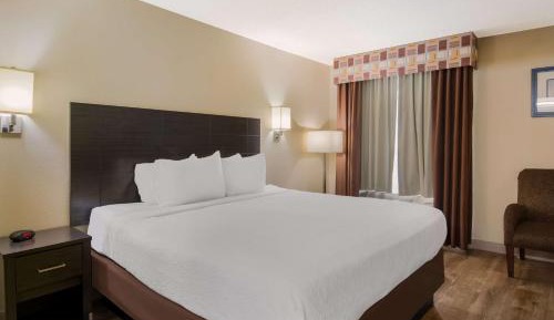 King Suite with Sofa Bed - Non-Smoking