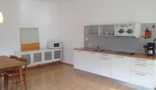 Apartment with Mountain View