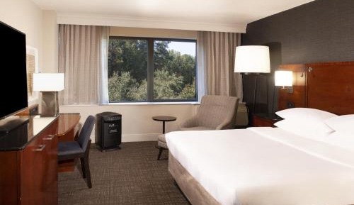 PURE Wellness, Guest room, King