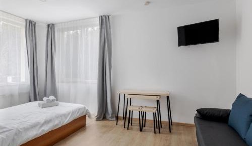 Studio with Sofa Bed