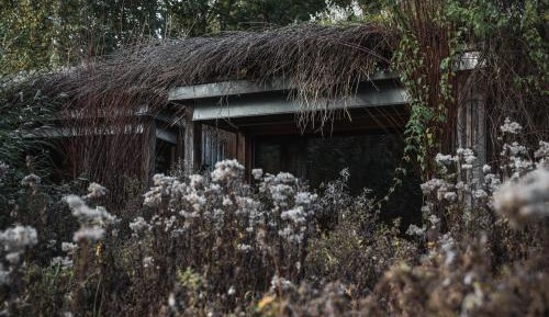 Hut (2 Adults)