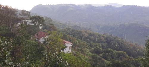 Suite with Mountain View