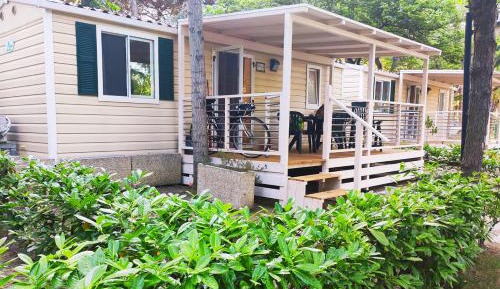 Mobile Home