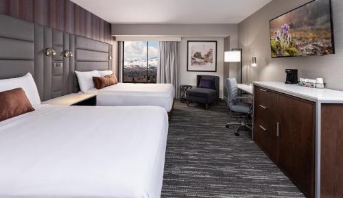 Deluxe Queen Room