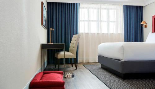 King Room with Sofa Bed