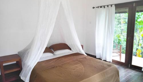 Large Single Room