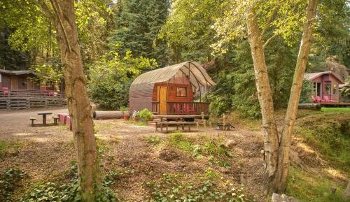 Cabin