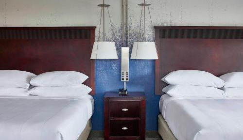 1 Bedroom Larger Suite, 2 Queen, Sofa bed