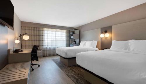 Queen Room with Two Queen Beds - Non-Smoking