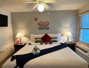 Deluxe King Suite