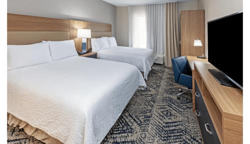 Studio Suite with Two Double Beds