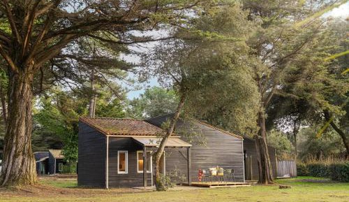 Premium Cabin | 3 Bedrooms