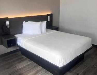 Double Room - Disability Access - Roll In Shower