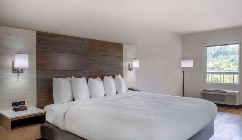 King Room with Mobility Access and Bathtub with Grab Bars, Non-Smoking