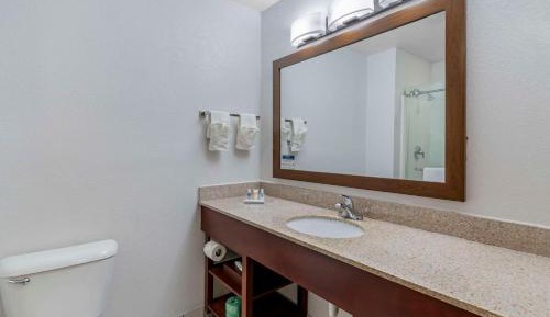 One Room Suite with Sofa bed - Disability Access/Non Smoking