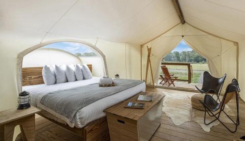 Stargazer Tent 