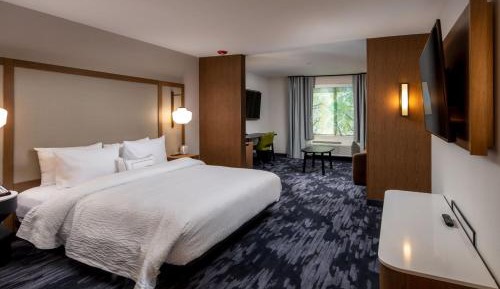 Suite, 1 King, Sofa bed