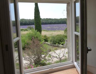 Apartment with Garden View