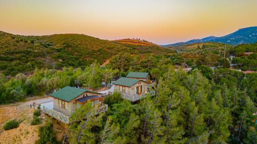 Villa with Garden View