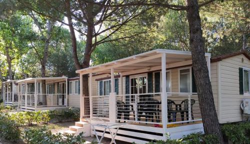 Mobile Home