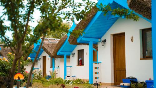 Deluxe Bungalow