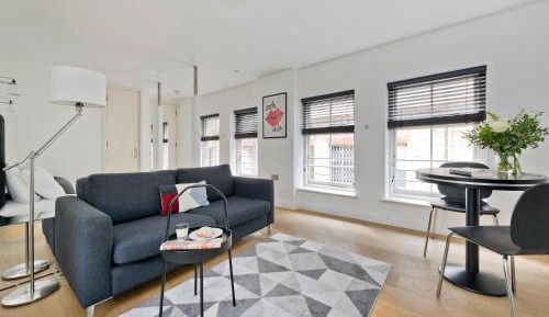 Classic Studio Apartment
