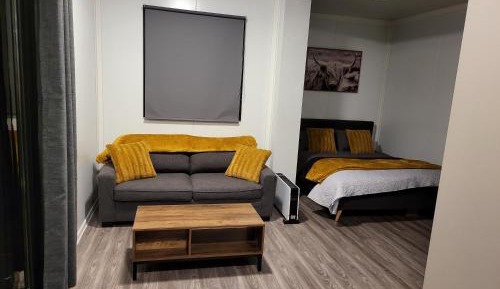 Deluxe Queen Studio 