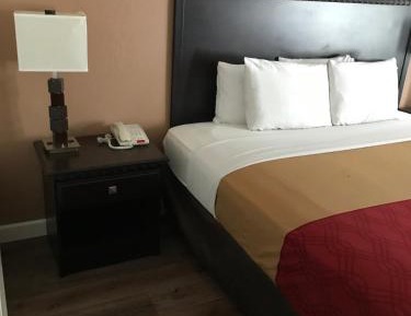 King Room - Non-Smoking