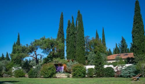 Deluxe Bungalow with Garden View