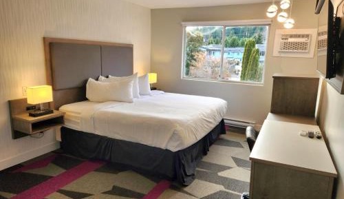 Room with 1 King Bed - Garden view