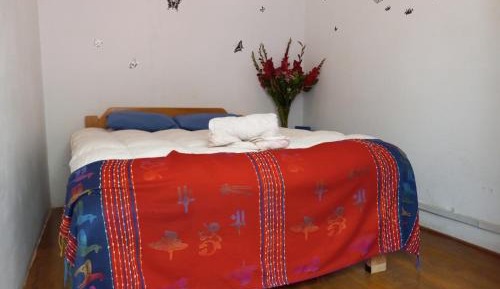 Standard Double or Twin Room with Garden View