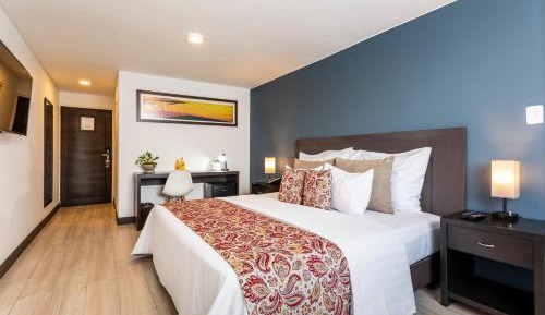 Superior Queen Room