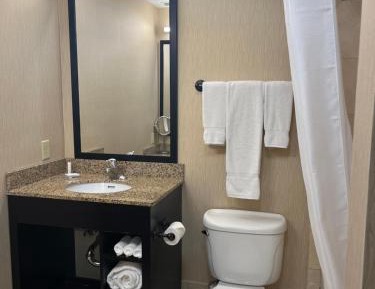 King Suite with Mobility/Hearing Impaired Access - Non-Smoking