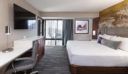 Deluxe King Suite