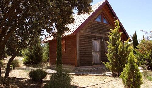 Two-Bedroom Bungalow (4 Adults)