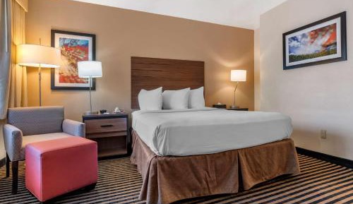 Queen Room with Roll-in Shower - Non-Smoking/Disability Access