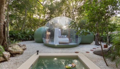 Bubble Suite with jungle view
